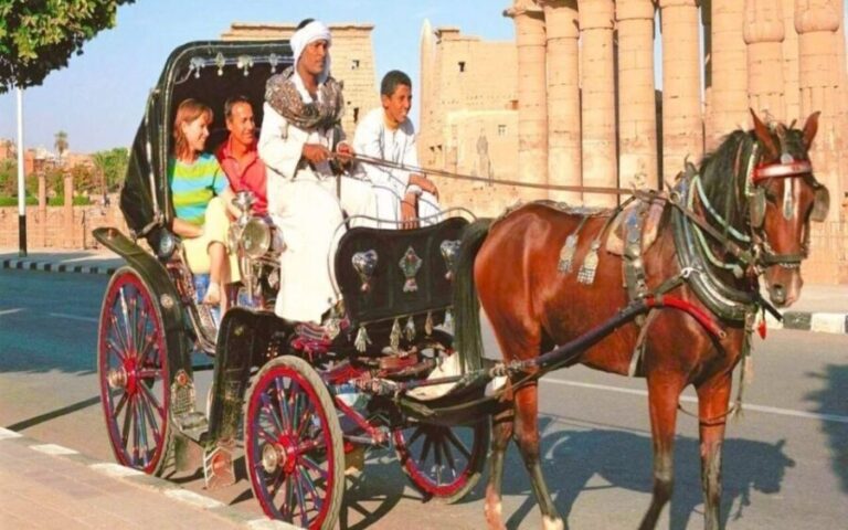 Luxor : Luxor City Tour By Horse Carriage Private Tour - What Makes This Tour Special