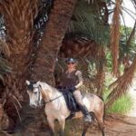 Luxor: Scenic Camel or Horse Ride - The Meeting Point and Logistics