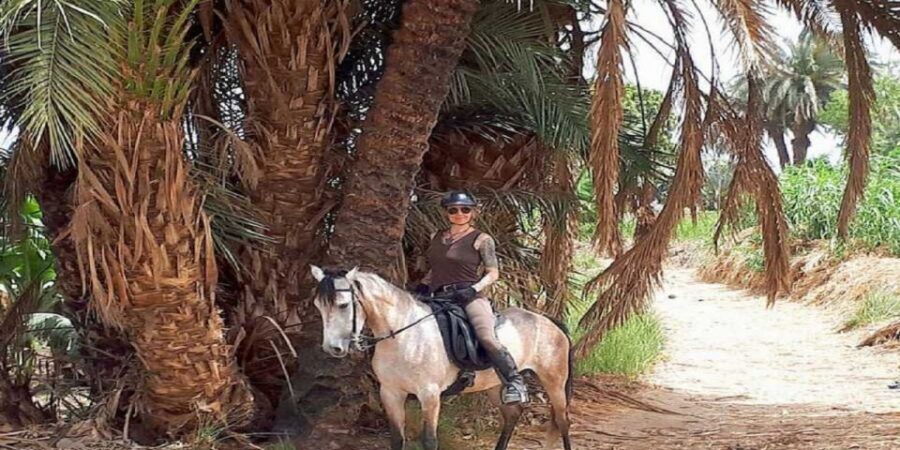 Luxor: Scenic Camel or Horse Ride - The Meeting Point and Logistics