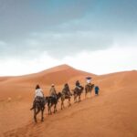 Luxury 3-Day desert trip from Fez to Marrakesh - What’s Included & Not Included: Making the Most of Your Trip