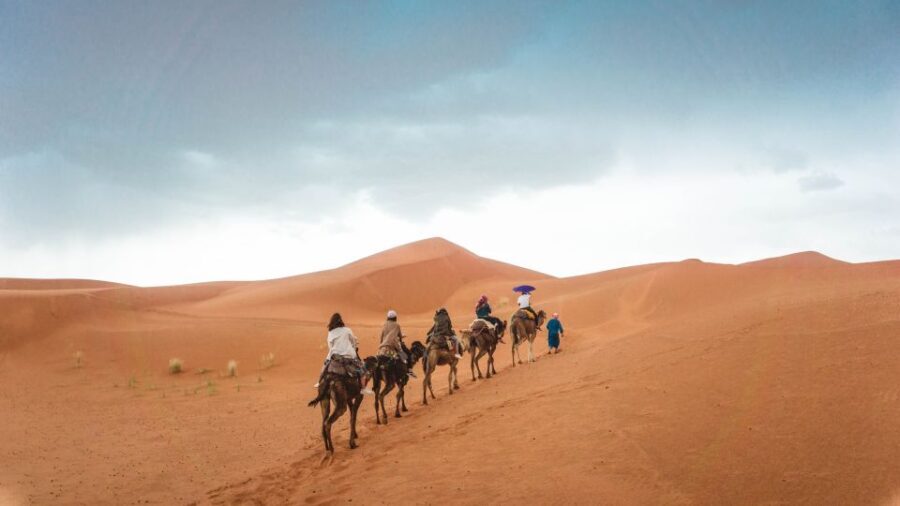 Luxury 3-Day desert trip from Fez to Marrakesh - What’s Included & Not Included: Making the Most of Your Trip