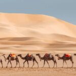 Luxury 3-Day desert trip from Marrakesh to Fez - What’s Included & What’s Not