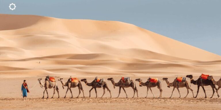Luxury 3-Day desert trip from Marrakesh to Fez - What’s Included & What’s Not
