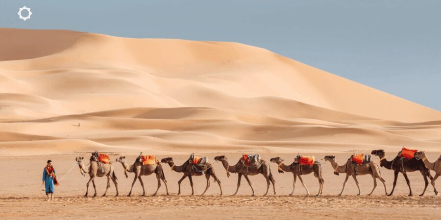Luxury 3-Day desert trip from Marrakesh to Fez - What’s Included & What’s Not
