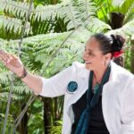 Luxury Auckland & West Coast Day Tour with Maori Guide - Why This Tour Offers Great Value