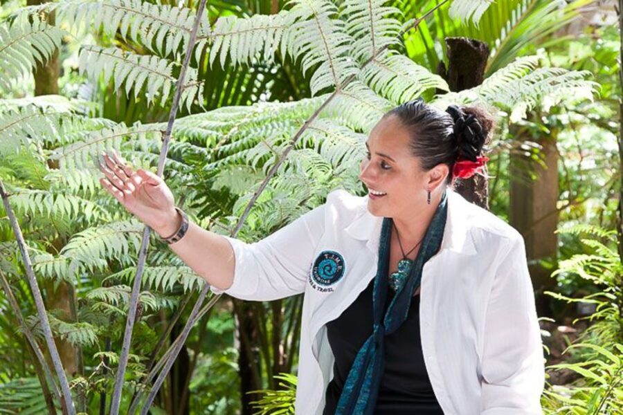 Luxury Auckland & West Coast Day Tour with Maori Guide - Why This Tour Offers Great Value
