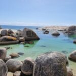 Luxury Cape of Good Hope & Penguin Tour - Who Is This Tour Best For?