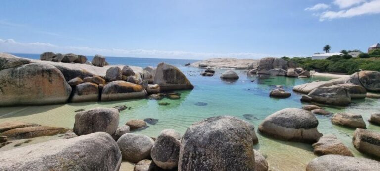 Luxury Cape of Good Hope & Penguin Tour - Who Is This Tour Best For?