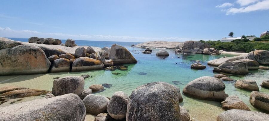 Luxury Cape of Good Hope & Penguin Tour - Who Is This Tour Best For?