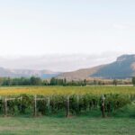 Luxury Hunter Valley Wine Tour with Fine Dining - Practical Details & Tips