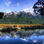 Luxury Milford Sound Coach and Scenic Cruise - Who Is This Tour Best For?