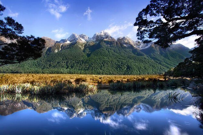 Luxury Milford Sound Coach and Scenic Cruise - Who Is This Tour Best For?