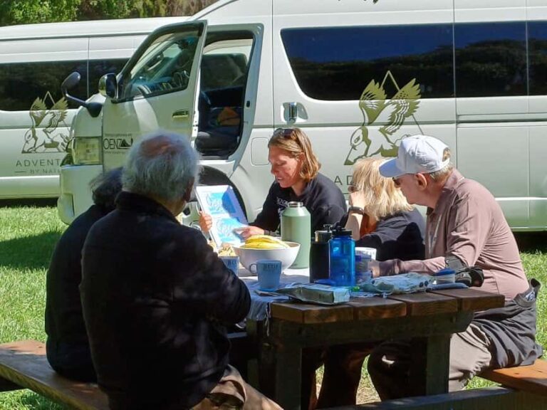 Lyttelton: Shore Excursion, Caving & Castle Hill Rocks - Who Would Love This Tour?