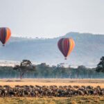 Maasai Mara: Hot Air Balloon Safari & Champagne Breakfast - Who Will Love This Tour?