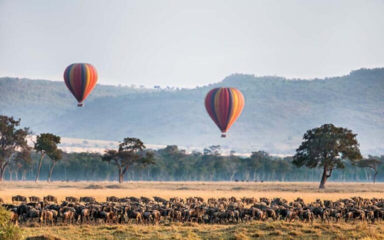 Maasai Mara: Hot Air Balloon Safari & Champagne Breakfast - Who Will Love This Tour?