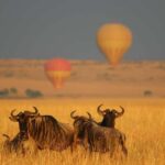 Maasai Mara: Hot Air Balloon Safari with Breakfast - The Breakfast in the Bush