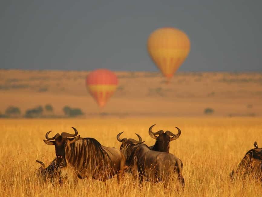 Maasai Mara: Hot Air Balloon Safari with Breakfast - The Breakfast in the Bush