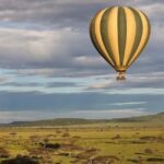 Maasai Mara: Hot Air Balloon Safari with Champagne Breakfast - What Makes the Experience Special?