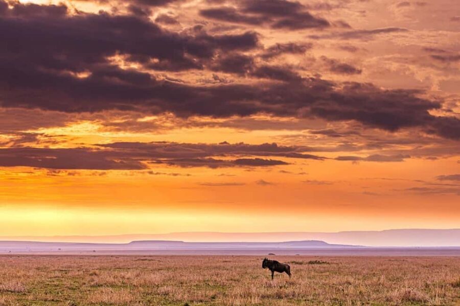 Maasai, Mikumi NP & Chizua Falls 3 Days From Dar es salaam - Wildlife & Nature