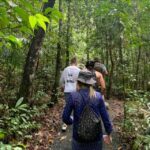 Mackay: Finch Hatton Gorge Hike, Swim & Platypus Adventure - The Practical Details: What You Need to Know