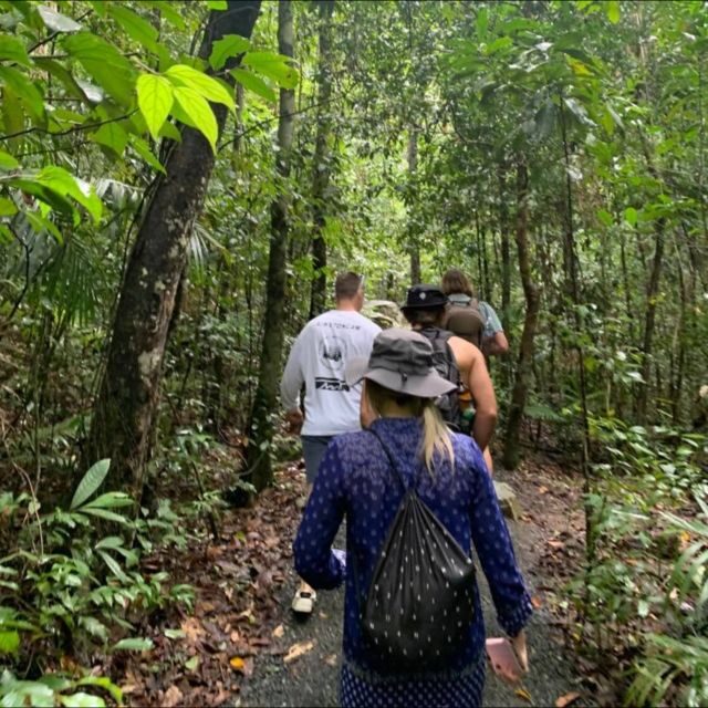 Mackay: Finch Hatton Gorge Hike, Swim & Platypus Adventure - The Practical Details: What You Need to Know