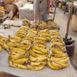 MADAGASCAR DIEGO SUAREZ: COOKING CLASS - Who Should Consider This Tour?