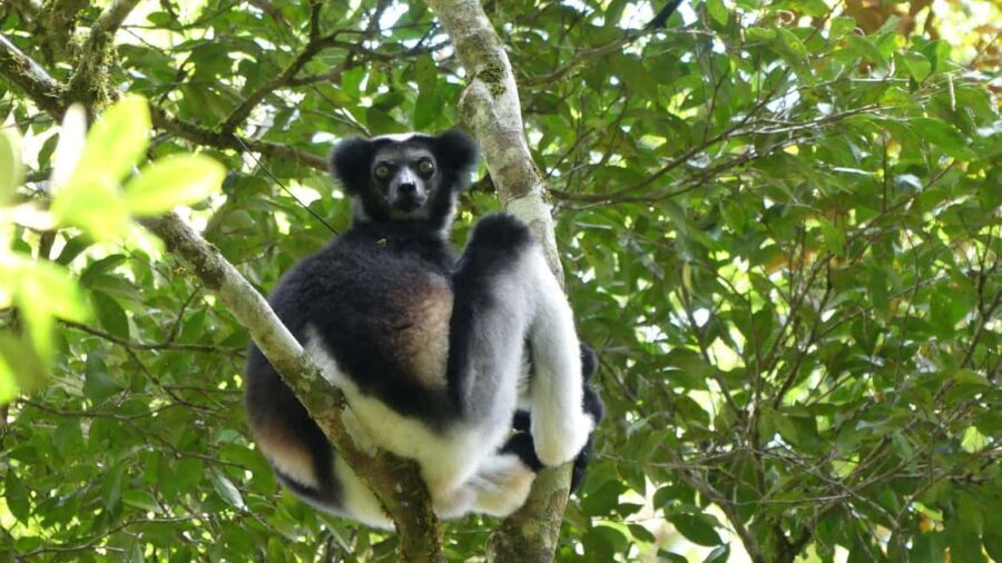 Madagascar: Nature and Discovery Tour - Deep Dive into the Itinerary