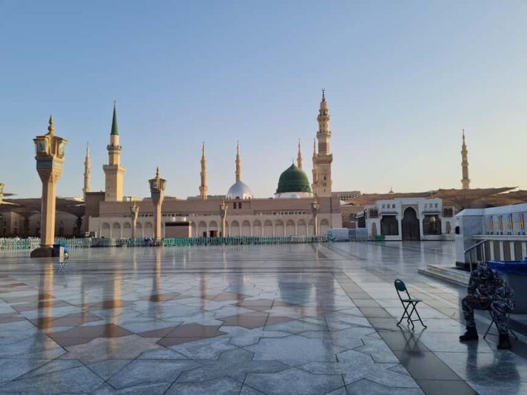 Madina: Guided Tour of the City's Historical Sights - Experience Highlights from Reviews