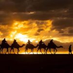 Magical Agafay : Camel Ride & Dinner show - Exploring the Tour: What to Expect from Start to Finish