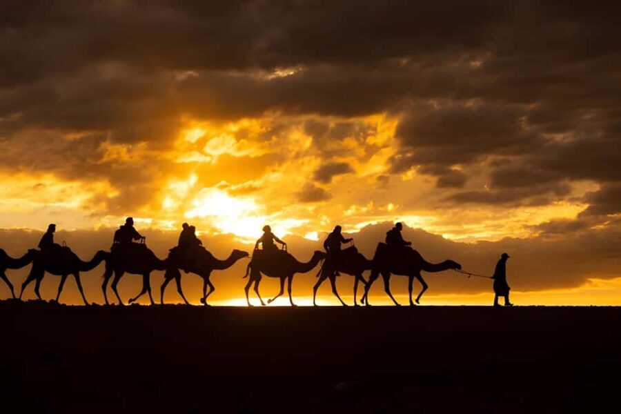 Magical Agafay : Camel Ride & Dinner show - Exploring the Tour: What to Expect from Start to Finish