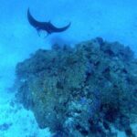 Magical Boat Tour with Underwater Cabin in Bora Bora! - Who Should Consider This Tour?