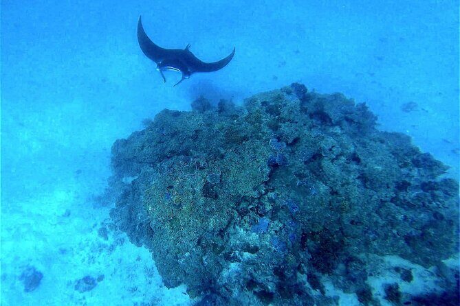 Magical Boat Tour with Underwater Cabin in Bora Bora! - Who Should Consider This Tour?