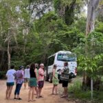 Magnetic Island: West Coast Eco Adventure Bus Tour - Why This Tour Offers Great Value
