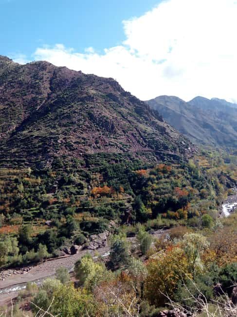 Majestic Atlas Mountains: A private Journey Beyond Marrakech - What Makes This Tour Stand Out?
