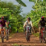 Majestic landscapes: A 5day Safari Adventure - What to Expect and Practical Tips