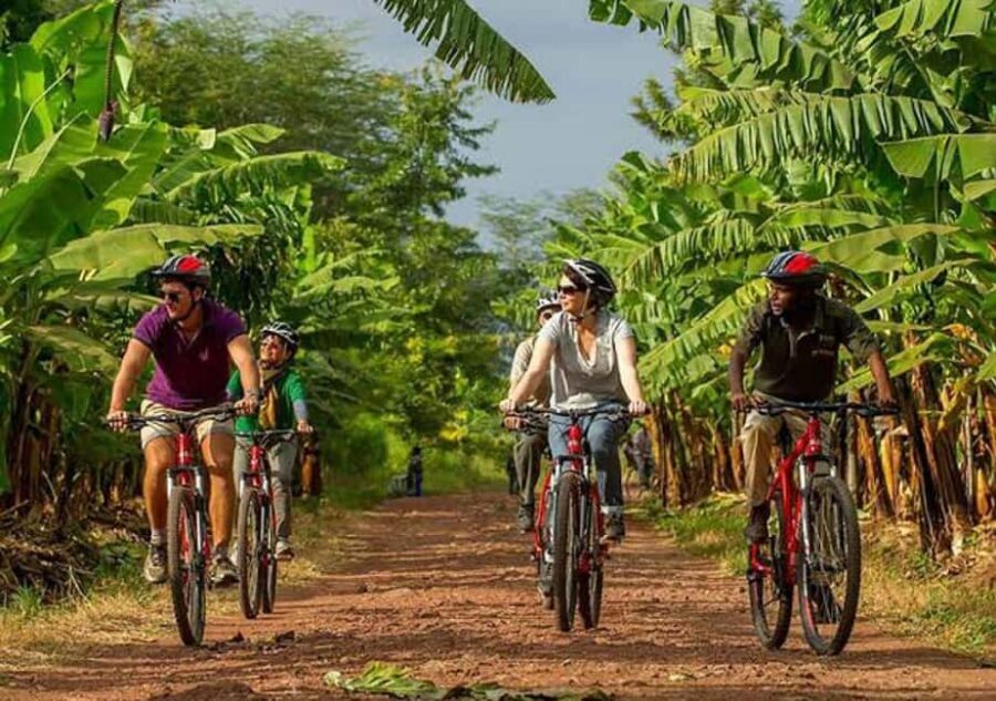 Majestic landscapes: A 5day Safari Adventure - What to Expect and Practical Tips