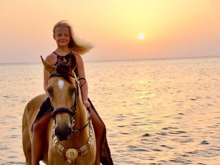 Makadi Bay: Horse Riding in Desert & Sea w Guide + Transfers - Authenticity and Value