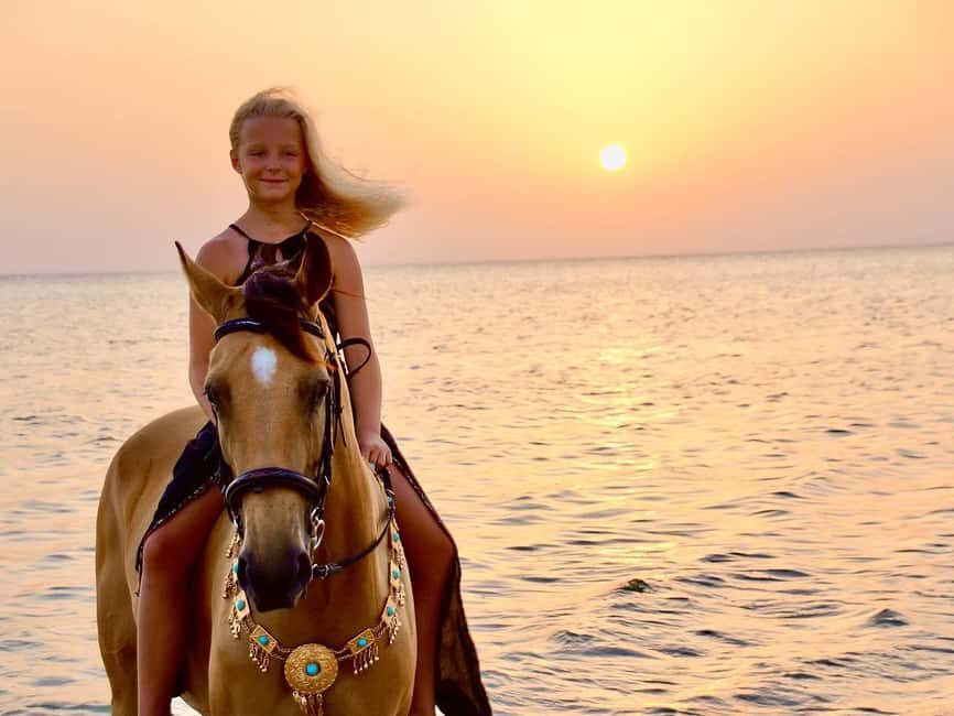 Makadi Bay: Horse Riding in Desert & Sea w Guide + Transfers - Authenticity and Value