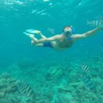 Makadi Bay: Snorkelling and Diving Island Trip - Authentic Insights from Guest Reviews