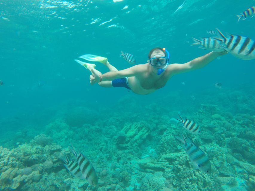 Makadi Bay: Snorkelling and Diving Island Trip - Authentic Insights from Guest Reviews