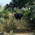 Malawi wildlife safari Tour - Who Is This Tour Best For?