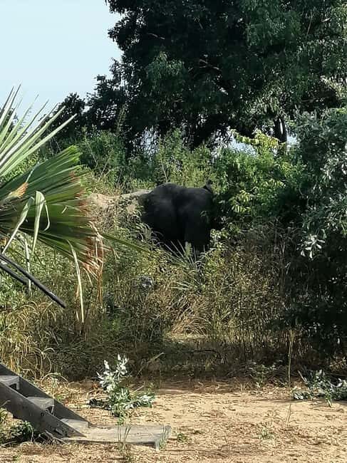 Malawi wildlife safari Tour - Who Is This Tour Best For?