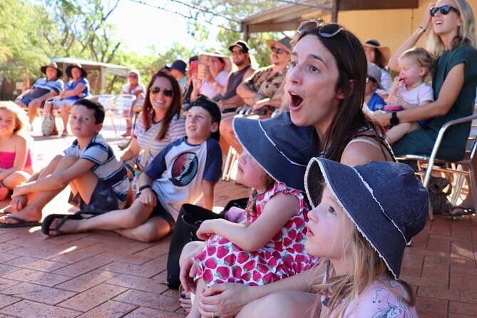 Malcolm Douglas Crocodile Park Tour Including Transportation - An In-Depth Look at the Tour Itself