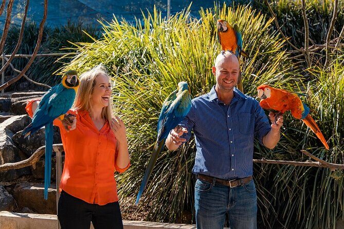 Maleny Botanic Gardens Bird Aviary Experience Ticket - Pricing & Overall Value