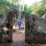 Malindi: Full-Day City Highlights Tour with Gede Ruins - Falconry Farm: Birds of Prey and More