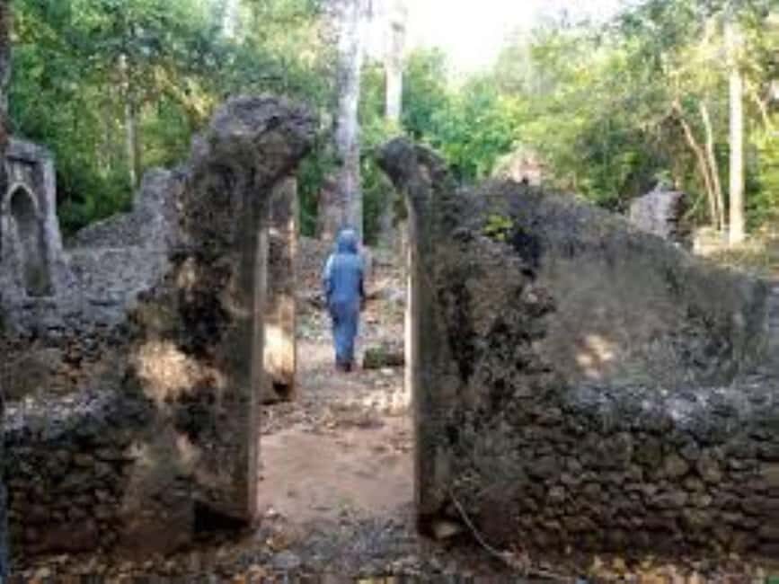Malindi: Full-Day City Highlights Tour with Gede Ruins - Falconry Farm: Birds of Prey and More