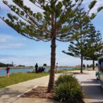 Mandurah: Big Toot 30 mins scenic tour - What Reviewers Say