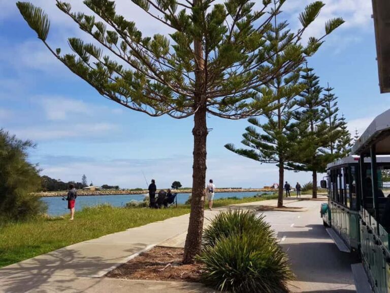 Mandurah: Big Toot 30 mins scenic tour - What Reviewers Say