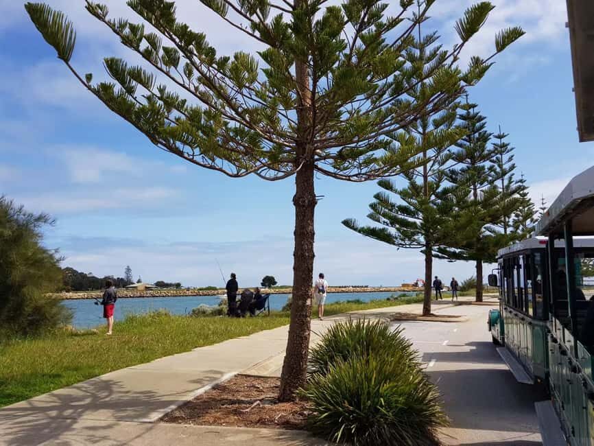 Mandurah: Big Toot 30 mins scenic tour - What Reviewers Say