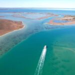 Mandurah: Dolphin & Giant Sightseeing Cruise - Why This Cruise Offers Great Value